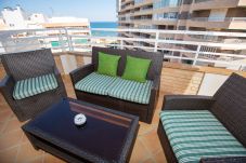 Penthouse in La Mata - Fiddalsa Luna Sea