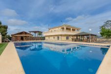 Cottage in San Fulgencio - Fidalsa Psiiicomagiiia