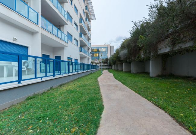 Alicante - Apartment