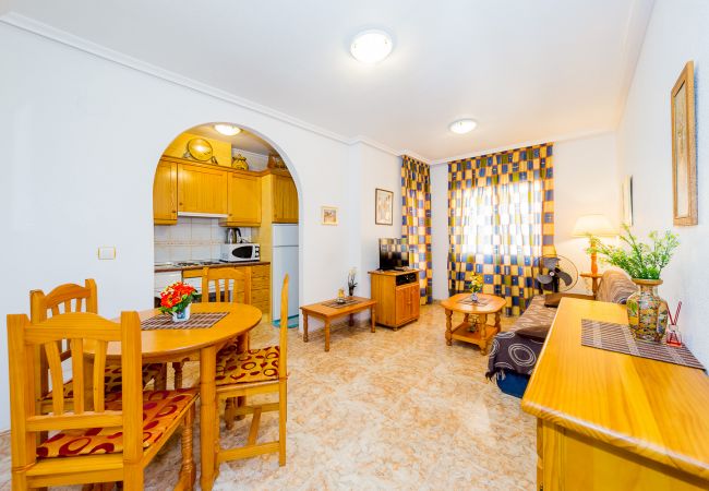 Apartment in Torrevieja - ID149