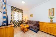 Apartment in Torrevieja - ID149