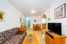 Apartment in Torrevieja - ID149