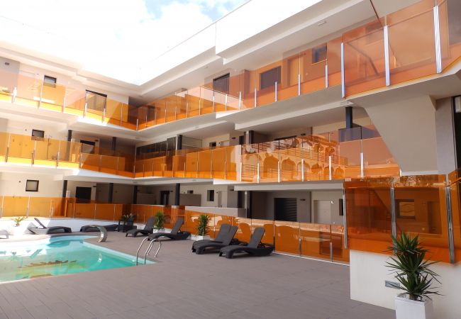 Apartment in Torrevieja - ID31