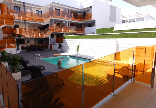 Apartment in Torrevieja - ID142