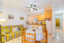 Apartment in Torrevieja - ID3
