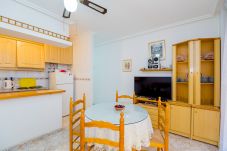 Apartment in Torrevieja - ID3