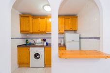 Apartment in Torrevieja - ID26