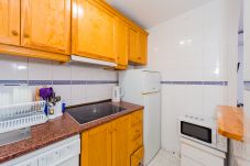 Apartment in Torrevieja - ID26