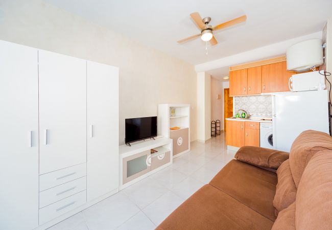 Studio in Torrevieja - ID54