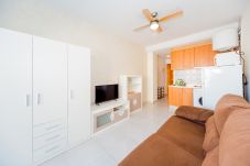 Studio in Torrevieja - ID54