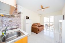 Studio in Torrevieja - ID54