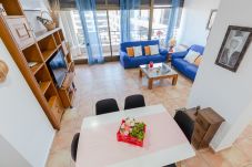 Apartment in Guardamar - Fidalsa Penthouse Solarium