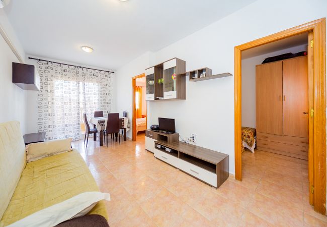 Apartment in Torrevieja - ID96