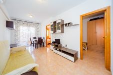 Apartment in Torrevieja - ID96