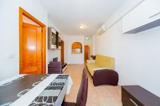 Apartment in Torrevieja - ID96