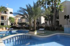 Apartment in La Mata - ID28