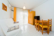Studio in Torrevieja - ID92