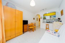 Studio in Torrevieja - ID92