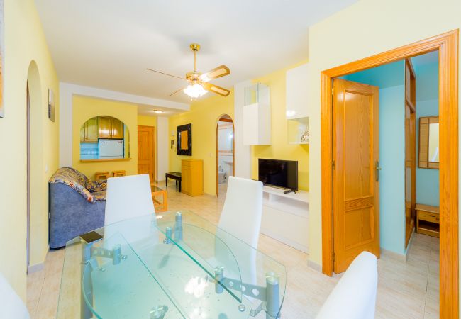 Apartment in Torrevieja - ID42