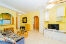 Apartment in Torrevieja - ID42
