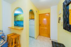 Apartment in Torrevieja - ID42