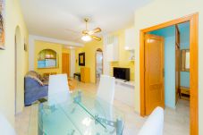 Apartment in Torrevieja - ID42