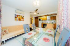 Apartment in Torrevieja - ID63