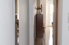 Apartment in Torrevieja - ID103