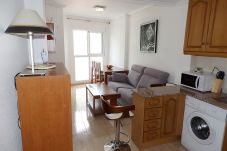 Apartment in Torrevieja - ID103