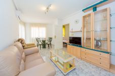 Apartment in Torrevieja - ID38