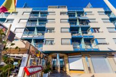 Apartment in Torrevieja - ID83