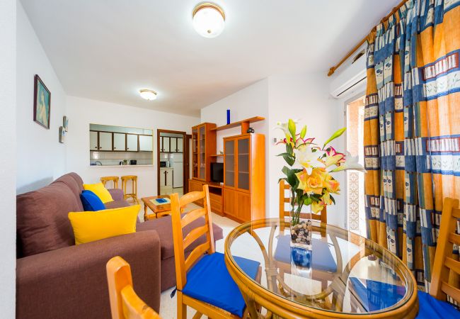 Apartment in Torrevieja - ID88