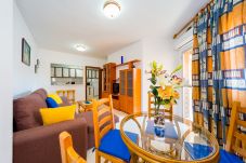 Apartment in Torrevieja - ID88