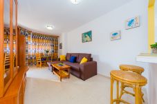 Apartment in Torrevieja - ID88