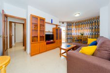 Apartment in Torrevieja - ID88