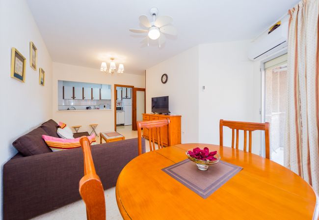 Apartment in Torrevieja - ID89