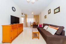 Apartment in Torrevieja - ID89