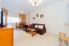 Apartment in Torrevieja - ID89