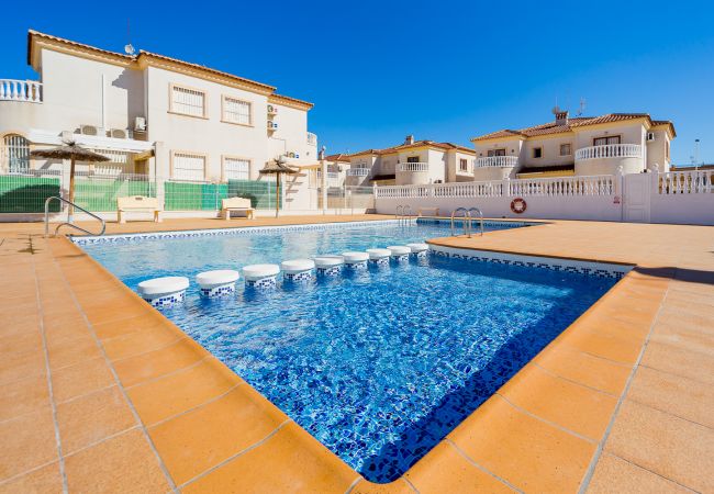 Apartment in Torrevieja - ID77