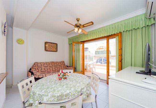 Apartment in Torrevieja - ID79
