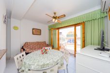 Apartment in Torrevieja - ID79