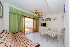 Apartment in Torrevieja - ID79