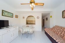 Apartment in Torrevieja - ID79