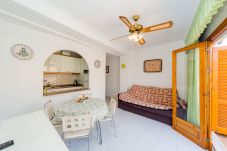 Apartment in Torrevieja - ID79