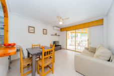 Apartment in Torrevieja - ID68