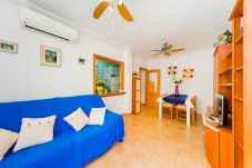 Apartment in La Mata - ID73