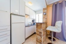 Apartment in Torrevieja - ID115