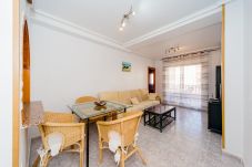 Apartment in Torrevieja - ID11