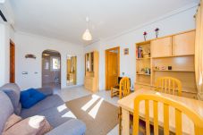 Apartment in Torrevieja - ID46