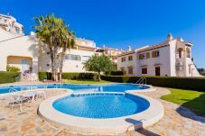 Apartment in Torrevieja - ID46